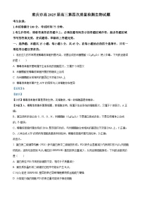 重庆市南开中学2024-2025学年高三上学期12月月考生物试卷（Word版附解析）