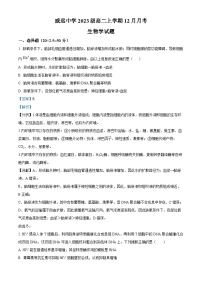 四川省内江市威远中学2024-2025学年高二上学期12月月考生物试卷（Word版附解析）