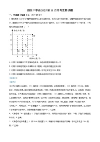 四川省巴中市通江中学2024-2025学年高三上学期11月月考生物试卷（Word版附解析）