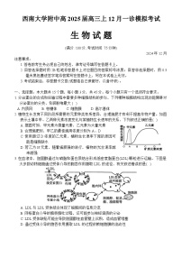 重庆市西南大学附属中学2024~2025学年高三上学期12月一诊模拟考试生物试卷（Word版附解析）