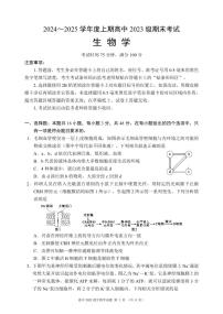 四川省成都市蓉城名校联盟2024-2025学年高二上学期期末考试生物试卷（PDF版附答案）