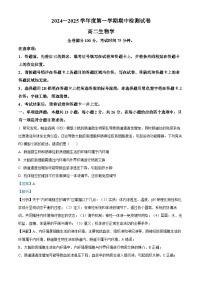 河北省邯郸市部分学校2024-2025学年高二上学期11月期中联考生物试题（Word版附解析）