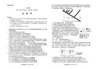 河南省部分学校2025届高三上学期第二次考试（小高考）生物试题（PDF版附答案）