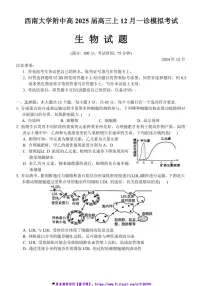 2024_2025学年重庆市西南大学附属中学高三(上)12月一诊模拟考试生物试卷(含答案)