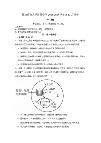 福建师范大学附属中学2024-2025学年高三上学期12月模拟考试生物试卷（Word版附答案）