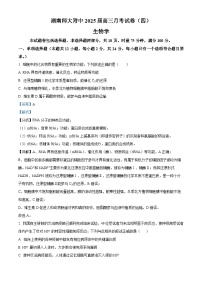 湖南省长沙市湖南师范大学附属中学2024-2025学年高三上学期月考卷（四）生物试卷（Word版附解析）