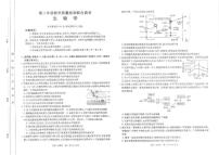 山东省大联考2024-2025学年高二上学期12月月考生物试卷（PDF版附解析）