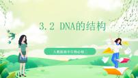 生物必修2《遗传与进化》第3章 基因的本质第2节 DNA的结构精品课件ppt