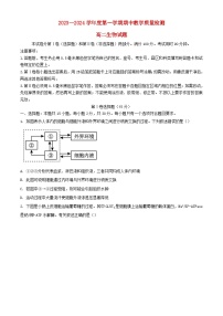 山东省聊城市2023_2024学年高二生物上学期11月期中试题含解析