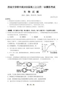 生物丨重庆市西南大学附中高2025届高三12月一诊模拟考试生物试卷及答案