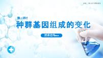 生物必修2《遗传与进化》第6章 生物的进化第3节 种群基因组成的变化与物种的形成一 种群基因组成的变化说课课件ppt