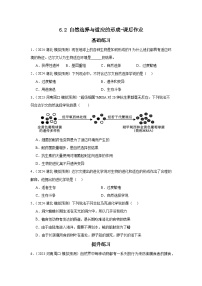 人教版 (2019)必修2《遗传与进化》第2节 自然选择与适应的形成练习题