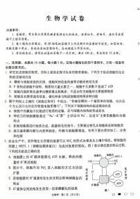 2025云南师大附中高三上学期12月适应性月考卷（七）生物PDF版含解析
