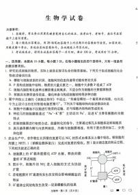 生物丨云南省云南师范大学附属中学2025届高三上学期12月适应性月考卷（七）生物试卷及答案