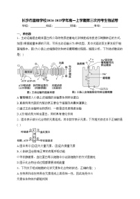 长沙市雷锋学校2024-2025学年高一上学期第三次月考生物试卷(含答案)