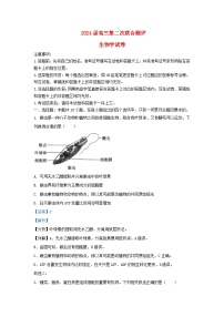 湖北省2023_2024学年高三生物上学期期中试题含解析