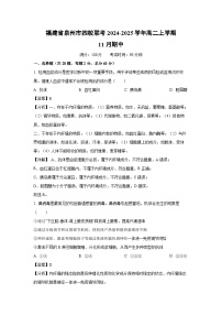 福建省泉州市四校联考2024-2025学年高二（上）11月期中生物试卷（解析版）