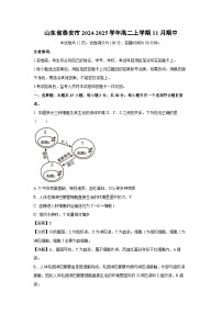 山东省泰安市2024-2025学年高二（上）11月期中生物试卷（解析版）