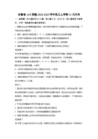 安徽省A10联盟2024-2025学年高三（上）11月月考生物试卷（解析版）