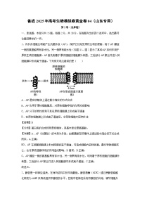 备战2025年高考生物模拟卷黄金卷04（山东专用）生物试卷（解析版）