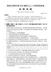 重庆市西南大学附属中学2024-2025学年高三上学期11月阶段性检测生物试卷