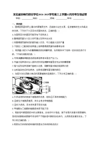 河北省邯郸市部分学校2024-2025学年高三上学期12月月考生物试卷(含答案)