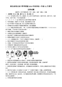 2025湖北省重点高中智学联盟高一上学期12月月考生物试题含解析