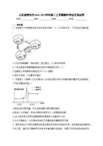 山东省泰安市2024-2025学年高二上学期期中考试生物试卷(含答案)