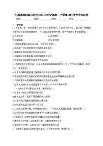 四川省绵阳南山中学2024-2025学年高一上学期12月月考生物试卷(含答案)
