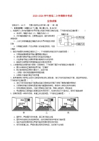 江西省南昌市2023_2024学年高二生物上学期11月期中试题