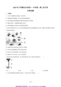 2024～2025学年湖南省长沙市第十一中学高一上12月月考生物试卷(含答案)