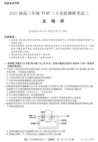 生物丨河南省TOP二十名校2025届高三12月调研考试（三）生物试卷及答案