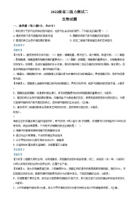 四川省绵阳市绵阳中学2024-2025学年高三上学期12月月考生物试卷（Word版附解析）
