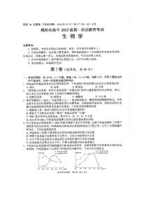 绵阳市高中2022级高三第一次诊断性考试生物试卷及参考答案