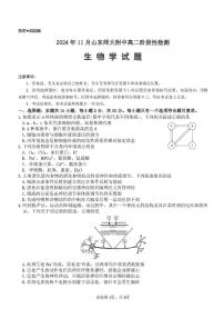 山东省师范大学附属中学2024-2025学年高二上学期11月期中考试生物试题