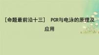 2025届高考生物二轮专题复习与测试板块六生物技术与工程命题最前沿十三PCR与电泳的原理及应用课件