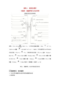 2025届高考生物二轮专题复习与测试板块二植物生理学专题四细胞呼吸与光合作用