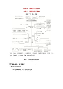 2025届高考生物二轮专题复习与测试板块四遗传学与进化论专题八遗传的分子基础