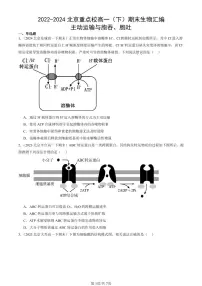 2022-2024北京重点校高一（下）期末真题生物汇编：主动运输与胞吞、胞吐