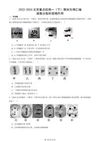 2022-2024北京重点校高一（下）期末真题生物汇编：减数分裂和受精作用