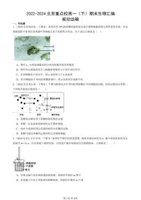 2022-2024北京重点校高一（下）期末真题生物汇编：被动运输