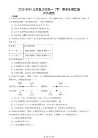 2022-2024北京重点校高一（下）期末真题生物汇编：伴性遗传