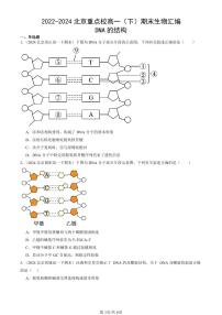 2022-2024北京重点校高一（下）期末真题生物汇编：DNA的结构