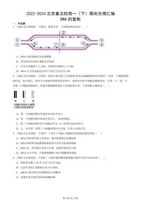 2022-2024北京重点校高一（下）期末真题生物汇编：DNA的复制