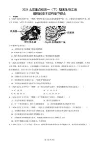 2024北京重点校高一（下）期末真题生物汇编：细胞的基本结构章节综合