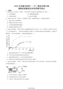 2024北京重点校高一（下）期末真题生物汇编：细胞的能量供应和利用章节综合