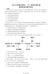 2024北京重点校高一（下）期末真题生物汇编：基因的表达章节综合