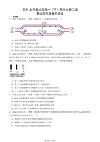 2024北京重点校高一（下）期末真题生物汇编：基因的本质章节综合