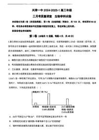 天津市第一中学2024-2025学年高三上学期期末考试生物试题
