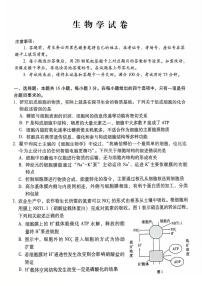 【百强校】【云南卷】云南师范大学附属中学2025届高考适应性月考卷（七）暨高三年级上学期12月月考生物试卷+答案